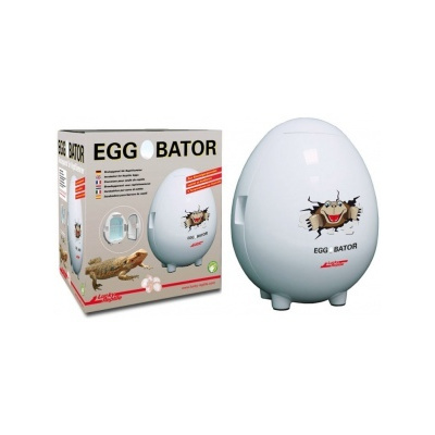 Lucky Reptile Egg O´Bator 28x26x32 cm FP-69811