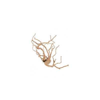 ZOLUX Akvarijní dekorace pavoučí kořen +60cm Zolux