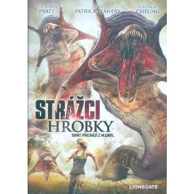 Strážci hrobky - DVD slim