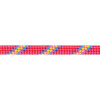 Beal Virus 10mm lano | růžová | 70 m