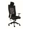 Alba Kancelářská židle LEXA s podhlavníkem LEXA s nastavitelným 3-D podhla