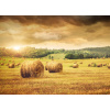 WEBLUX Fototapeta vliesová Field of freshly bales of hay with beautiful sunset - 31838189 Pole čerstvých balíků sena s krásným západem slunce, 200 x 144 cm