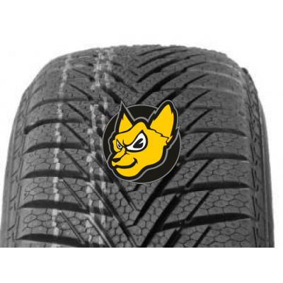 Continental Winter Contact TS 800 175/55 R15 77T M+S