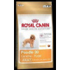 Royal Canin Poodle pudl 7,5kg