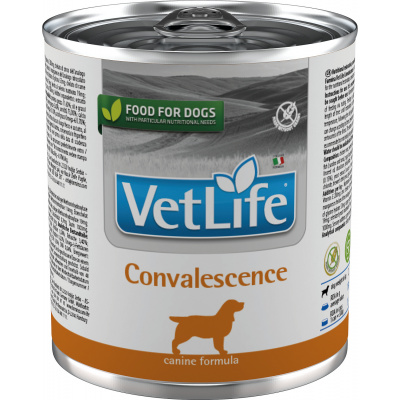Vet Life Natural (Farmina Pet Foods) Vet Life Natural Dog konz. Convalescence 300g