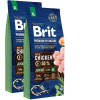 Brit Premium by Nature Junior XL 2 x 15kg