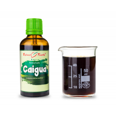 Caigua (ačokča) - bylinné kapky (tinktura) 50 ml