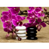 WEBLUX Fototapeta vliesová Spa essentials (pyramid of stones with purple orchids) - 13631630 Lázeňské potřeby (pyramida kamenů s fialovými orchidejemi), 100 x 73 cm