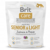 Brit Care Grain-free Senior&Light Salmon & Potato 1kg