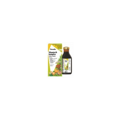 FLORADIX Vitamín-B-komplex tekutý 250 ml