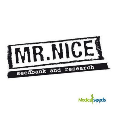 Mr. Nice - Critical Mass regular 15 ks - semena neobsahují THC