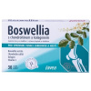 Favea Boswellia s chondroitinem a kolagenem 30 tablet