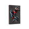 Seagate FireCuda STKL2000419 - Miles Morales Special Edition - pevný disk - 2 TB - externí (přenosný) - USB 3.2 Gen 1 - s Seagate Rescue Data Recovery 2 roky - pro Sony PlayStation 4, Sony PlayStation