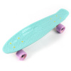 Meteor Penny skate board Meteor Fishboard Pastel Mint