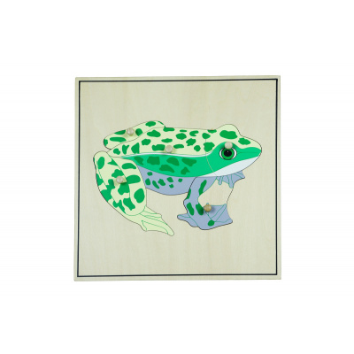 Montessori Puzzle s kostrou - žába