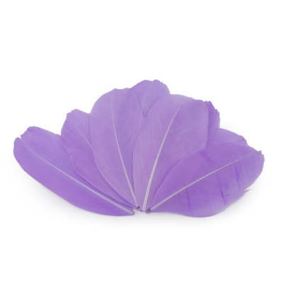 Husí peří délka 5,5-7 cm - 16 fialová lila