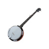 Pasadena 01BJ001 - pětististrunné banjo