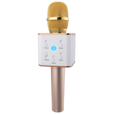 Eljet Performance zlatý (5060) Karaoke mikrofon