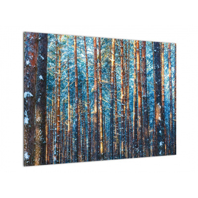Skleněný obraz - Zimní les, jednodílný 70x50 cm na skle