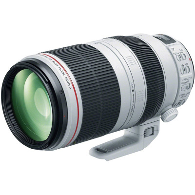 Objektiv Canon EF 100-400mm f/4.5-5.6L IS II USM