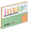 ColorAction A4 80 g 5 x 20 listů