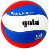 Volejbalový míč Gala Pro Line BV5591
