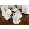 WEBLUX Fototapeta vliesová Face cream and white orchid on a bamboo mate - 15837732 Krém na obličej a bílá orchidej na bambusové kamarádce, 145 x 100 cm