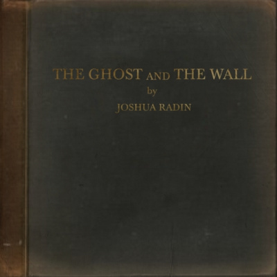 RADIN, JOSHUA - GHOST AND THE WALL (1 LP / vinyl)