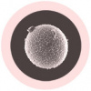 Vajíčko - plyšový mikrob (B30)