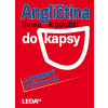 Angličtina ihned k použití (do kapsy) - Jazykový průvodce