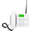 Mobilní telefon Aligator T100 bílý (AT100W)