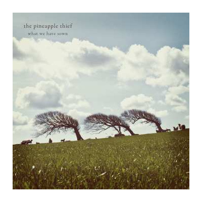 CD The Pineapple Thief: What We Have Sown DIGI