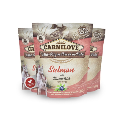 Carnilove Dog Pouch Paté Salmon with Blueberries for Puppies 300 g