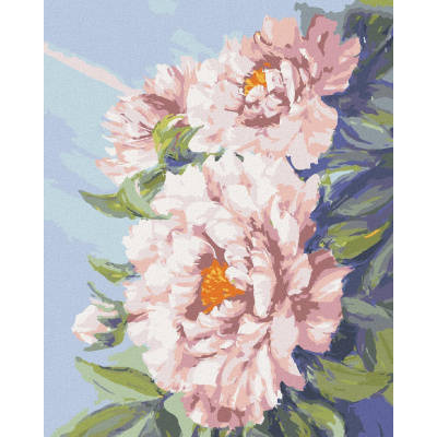Malování podle čísel Květy růžové pivoňky, 80x100 cm, bez rámu a bez vypnutí plátna (6043722)