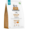 Brit Care Dog Grain-free Senior & Light Salmon 3 kg