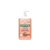 Sanytol dezinfekční mýdlo pro odstranění zápachu z rukou 250 ml