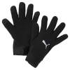 Rukavice PUMA TEAMLIGA 21 WINTER GLOVES 04170601 – Černá