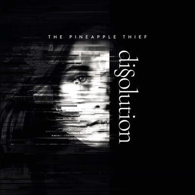PINEAPPLE THIEF, THE - Dissolution White LP