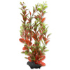 Tetra rostlina Red Ludwigia 23 cm