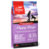 ORIJEN Dog Puppy Large 2x11,4kg