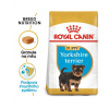 ROYAL CANIN Yorkshire Terrier Junior 7.5 kg + navazující krmivo Yorkshire Adult 500g