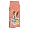 Nestlé - Purina Dog Chow Purina Dog Chow Active Chicken 14kg