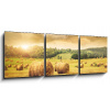 Obraz 3D třídílný - 150 x 50 cm - Field of freshly bales of hay with beautiful sunset Pole čerstvých balíků sena s krásným západem slunce