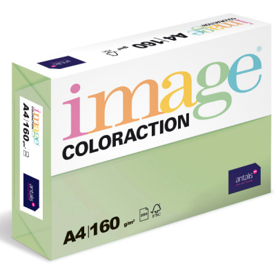 ANTALIS Barevný papír Image Coloraction A4 160g pastelově zelená, 250 ks 119136