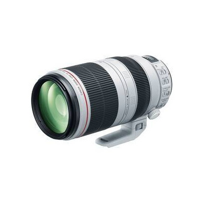 Objektiv Canon EF 100-400mm f/4.5-5.6L IS II USM (9524B005) šedý