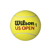 Wilson Mini Jumbo Ball US Open