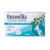 Favea Boswellia s chondroitinem a kolagenem 30 tablet