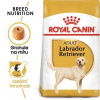 Royal Canin Labrador Retrívr Adult 12 kg