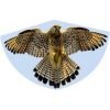 Günther Létající drak Sokol 92x62cm jednošňůrový silná PE folie 3 bodové váhy