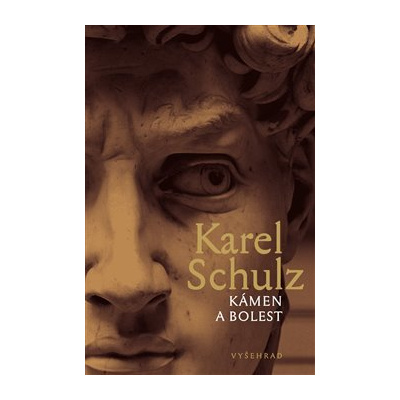 Kámen a bolest - Karel Schulz